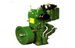 2 Hp Multi-Cylinder Water Cooled Diesel Engine