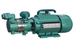 5- 60 m 0.12 - 1.5 HP Gold Self Priming Pump for Domestic