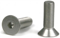 Amco Stainless Steel Screw