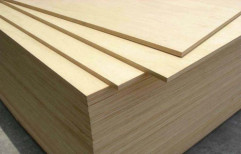 Asis Plywood Boards, Size: Max. 2440 mm x 1220 mm
