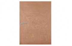 Brown Wood 35 mm Flush Door for Office