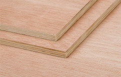 Commercial Wooden Plywood