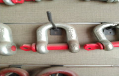 D Shackle, Size: 1 Ton To 55 Ton