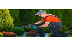 Gardening Services, Coverage Area: <1000 Square Feet