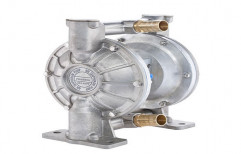 Single Phase Air Diaphragm Pump, 220 V, Electric