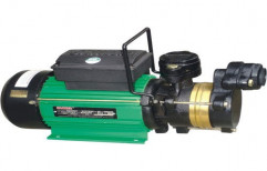 Single Phase Cast Iron Shalow Well Pump, Voltage: 240 V