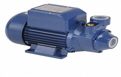 Single Phase Electric Water Pump, 0.1 - 1 HP, Agricultural