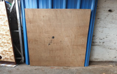 Termite Proof Flush Door, Size/Dimension: 30mm