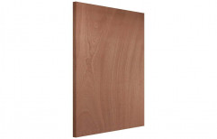 Wooden Interior PLYWOOD DOOR, Brown