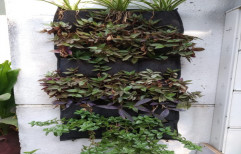 Black Vertical Garden