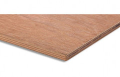 Brown Plywood Sheet, Size: 8x4 Feet, Thickness: 18 mm