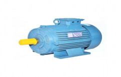Cast Iron Krishna 1 HP Single Phase Electric Motor, Voltage: 220 V, 1440 Rpm