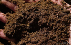Dark Brown To Black Compost Peat Moss, Powder, Packaging Type: 5 Kg Polybag