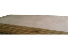 Plywood Brown Flush Board, Thickness: 1.2-10 mm