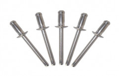 Polished Stainless Steel Blind Rivet, Material Grade: SS304,SS316, Size: 3 Mm