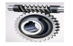 Polished Worm Gears, For Industrial