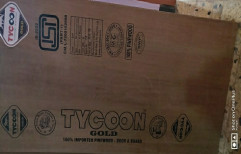 Tycoon Flush Door