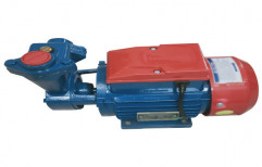 Crompton Greaves 2-4 hp Electric Water Pump, Voltage: 220 V