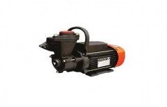 Domestic Monoblock Pump