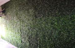 Green Plastic Artificial Vertical Garden