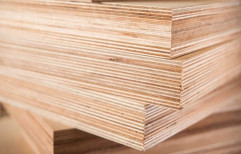 Gurjan Brown Ply Wood, Thickness: 19mm, Size: 8x4