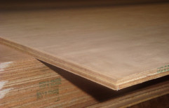 Gurjan Waterproof Plywood, For Furniture, Thickness: 19 Mm
