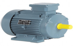 Havells 2000-6000 RPM Three Phase Electric Motors, 380-440 V, Power: 10-100 KW