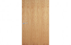 Light Brown Veneer Door