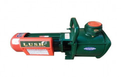 Lush 1 HP Shallow Well Pumps Set