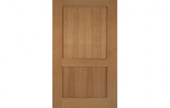 Raw Wood Color 2 Panel Plywood Doors