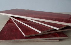 Rectangular Shuttering Plywood, Thickness: 12 mm