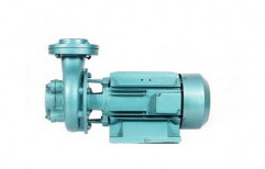 Rotary Monoblock Pump