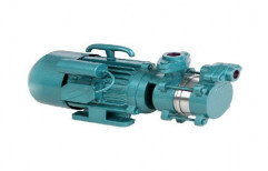 Single Phase 0.5hp Electric Water Pump, 0.1 - 1 HP