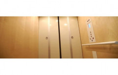 Stainless Steel Brown Automatic Elevator Door