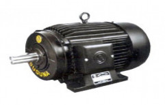 <2000 RPM Tefc Suguna Electric Motor