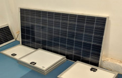 LEVANT Poly Crystalline Solar Panel