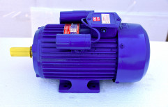 Single Phase Electric Foot Mount Motor, Power: <10 kW