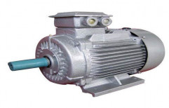 Three Phase Electric Motors, Power: 201 to 300 kW
