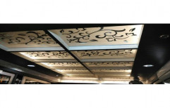 30 x 20 inch Saint Gobain Glass Frosted Ceiling Glass
