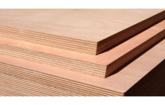 Brown Shuttering Plywood