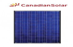 Canadian Solar modules