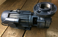 Cast Iron 2 Hp Monoblock Pump Set, 2800 Rpm