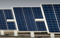 Poly Crystalline Solar Panels Waaree Solar Panel, Dimensions: 1960 X 990 X 40, 24 V
