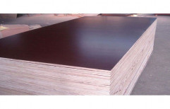 Poplar Laminated Shuttering Plywood, Thickness: 12 Mm, Size: 8x4 Feet