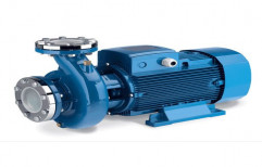 Terry Automatic Water Motor Pump, Warranty: 1 Year
