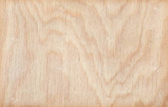 Texture Plywood Board, For Furniture, Matte