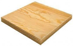 Valleywood Poplar Plywood Boards, Size: 8' x 4', Matte