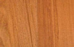 Wooden Exterior Laminated Sheet, Thickness: 6 mm