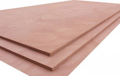 Wooden Plywood, Thickness: 12-18 mm