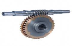 Worm Wheel Gear, For Automobile Industry